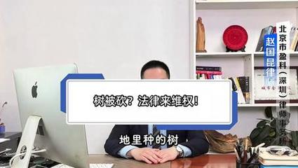 法律咨询指南 如何有效提问与解答